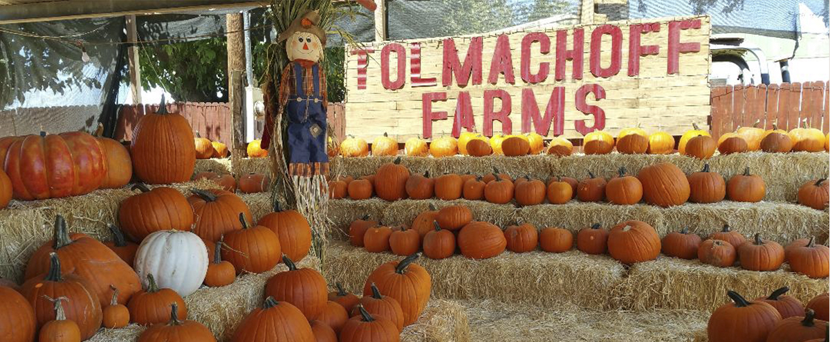 Let the unforgettable fall season memories began at Tolmachoff Farms!