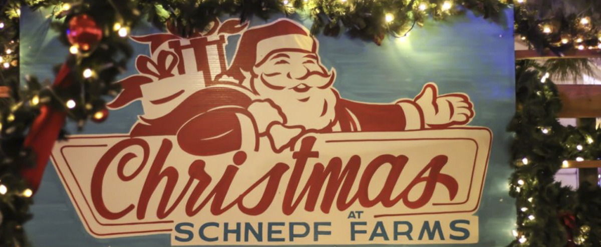 Experience the wonder of Christmas at Schnepf Farms, a special kind of holiday magic for the entire family. 