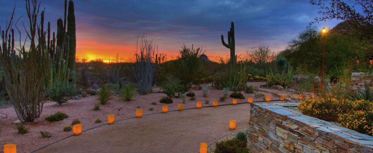 The Desert Botanical Garden shines bright during the holiday season! 