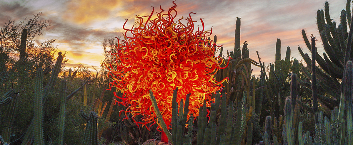 Combining art, architecture and nature, Dale Chihuly returns to the Sonoran Desert with a stunning new exhibition