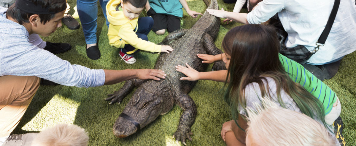 Join over 30 other wildlife and conservation-focused organizations for a full day of FUN, interactive activities! 