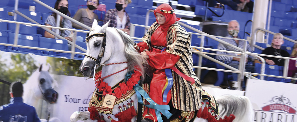 The largest event of its kind in the world, the Scottsdale Arabian Horse Show is back in Scottsdale this week!